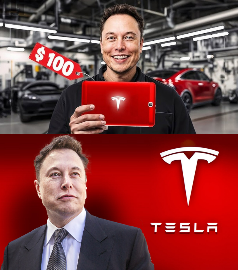 Elon Musk'S Tesla Dojo: A Lesson In Technological Risk - 3a521sq